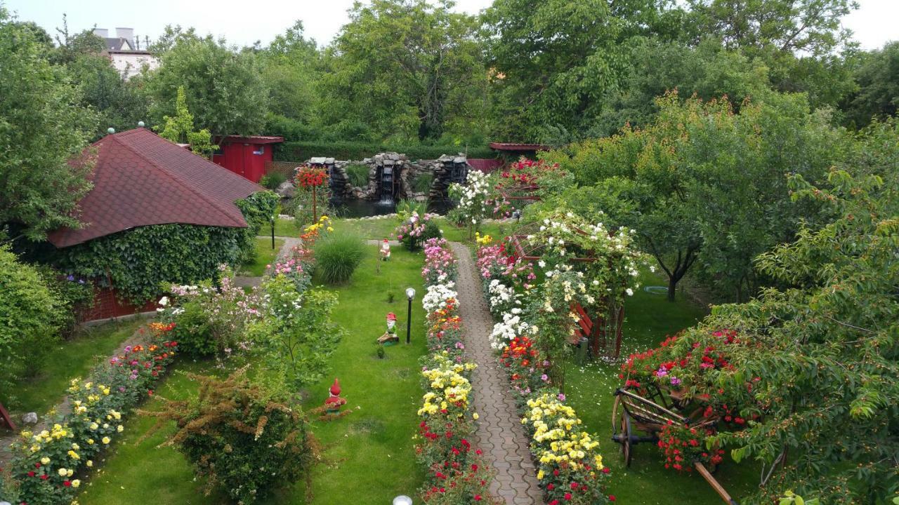 Pension Delia Gardens Timişoara Extérieur photo