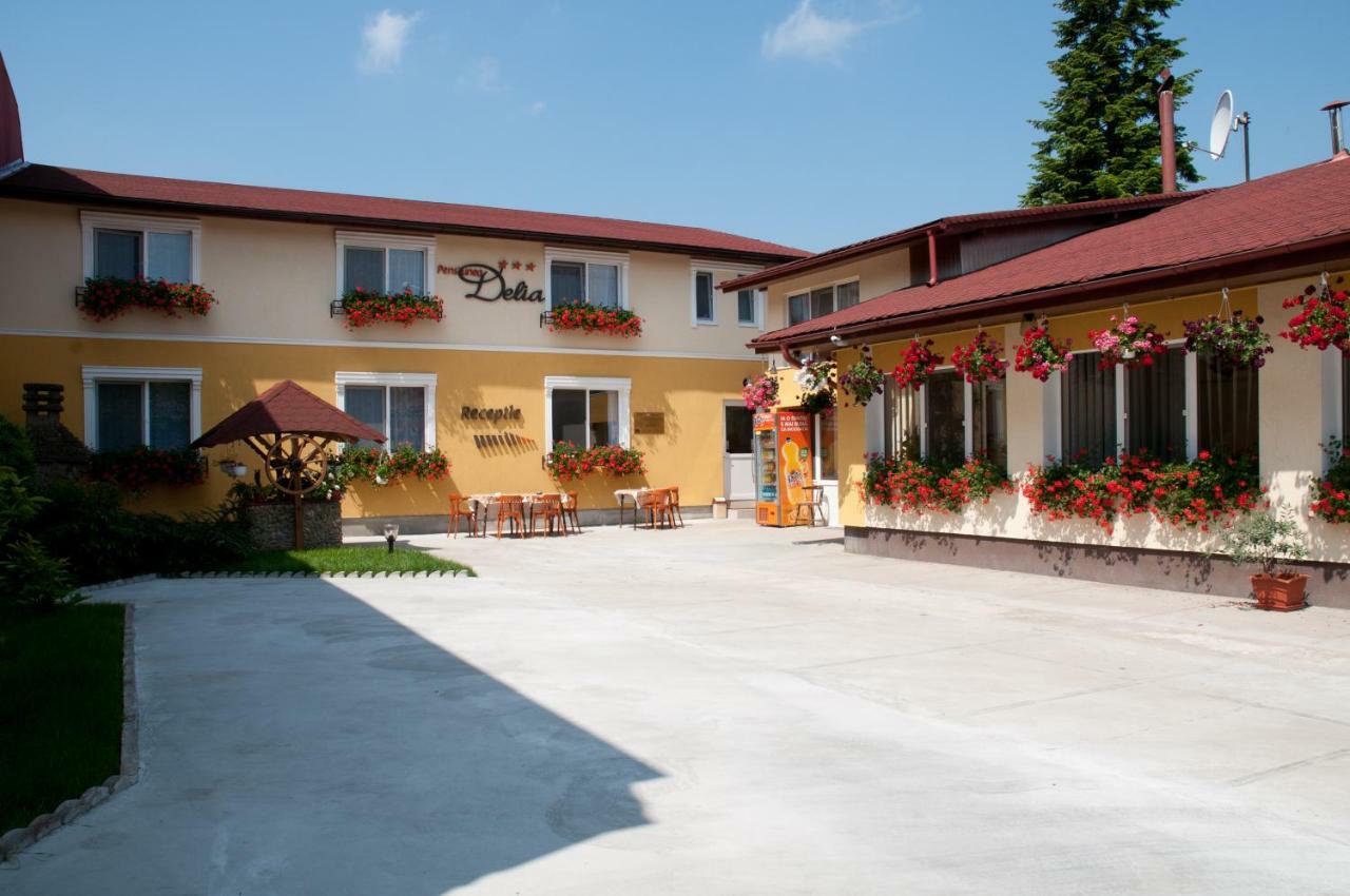 Pension Delia Gardens Timişoara Extérieur photo