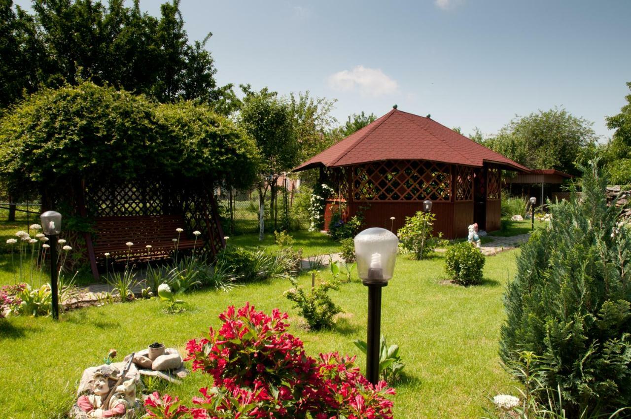 Pension Delia Gardens Timişoara Extérieur photo