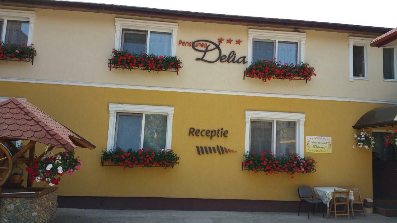 Pension Delia Gardens Timişoara Extérieur photo