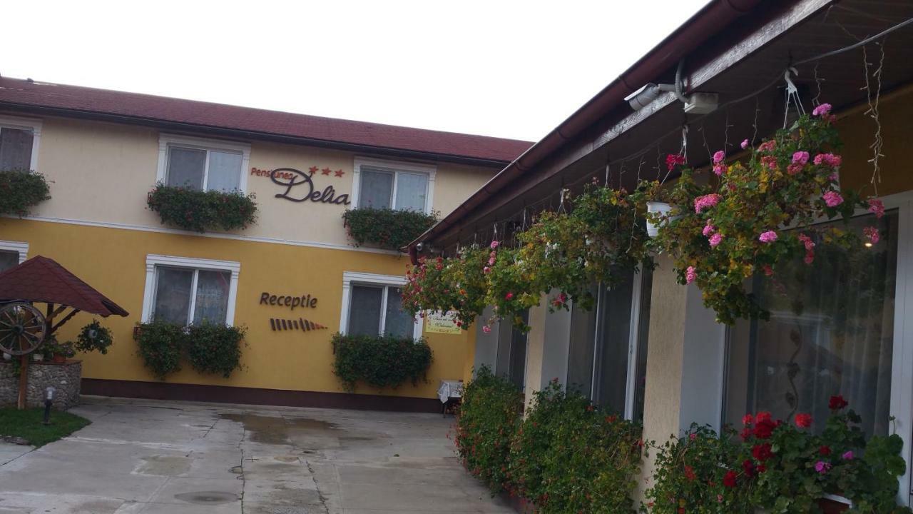 Pension Delia Gardens Timişoara Extérieur photo