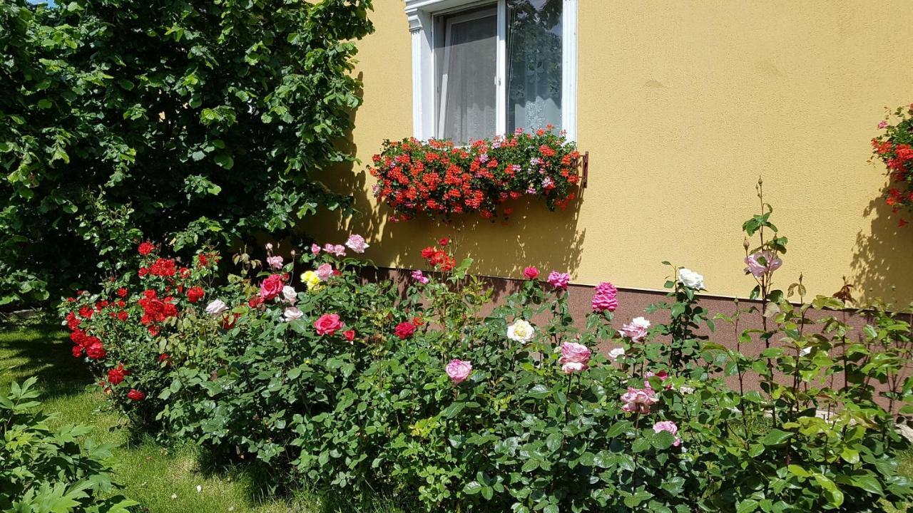 Pension Delia Gardens Timişoara Extérieur photo