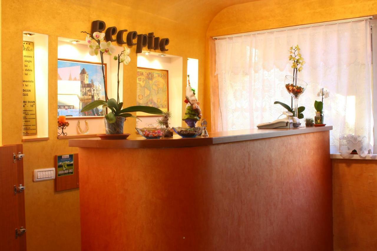 Pension Delia Gardens Timişoara Extérieur photo