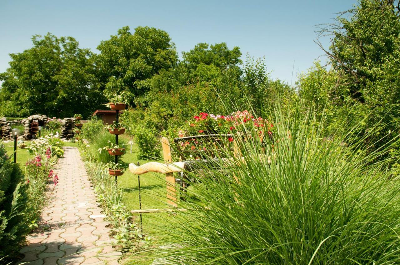 Pension Delia Gardens Timişoara Extérieur photo