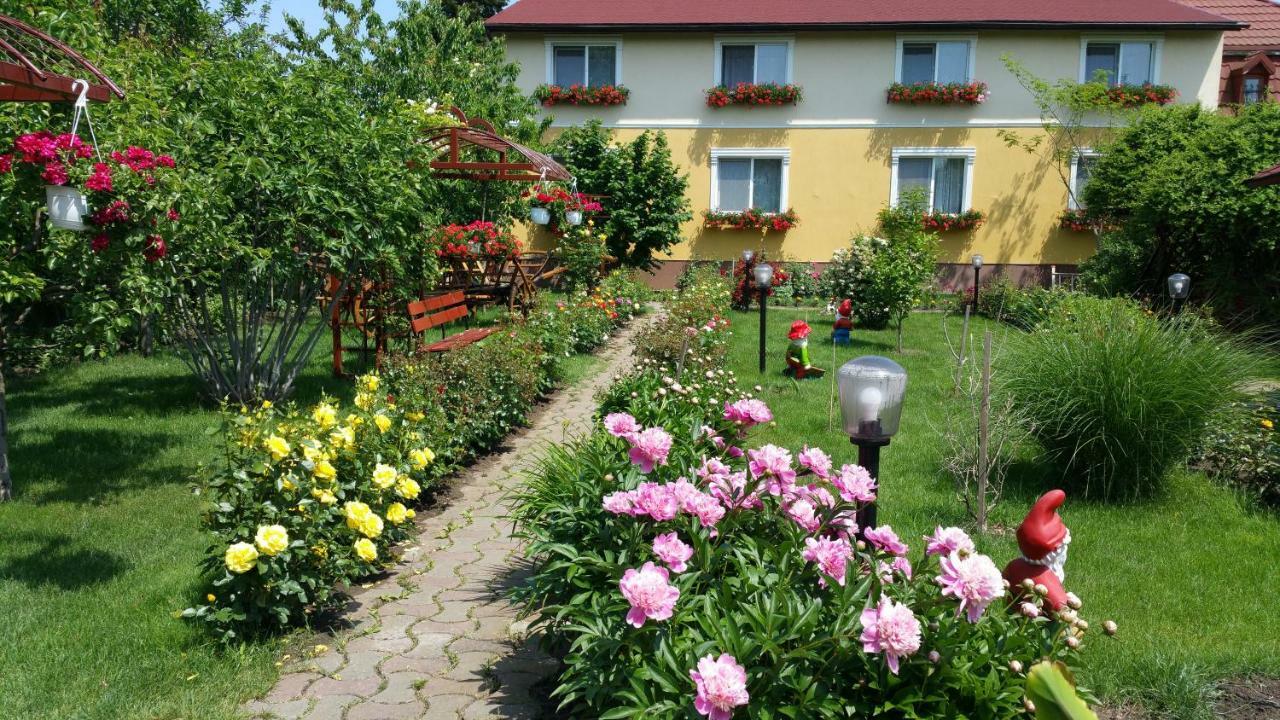 Pension Delia Gardens Timişoara Extérieur photo